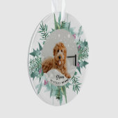 In Love Mémoire Chien animal de compagnie photo No (devant)