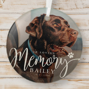 In Loving Memory Pet Memorial Moderne eenvoudige f Glas Ornament