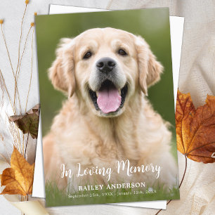 In Loving Memory Pet Memorial Moderne foto Bedankkaart