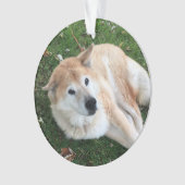 In Loving Memory Pet Photo Ornament (voorkant)