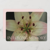 In Loving Memory Roze Lily uitnodiging (Voorkant / Achterkant)