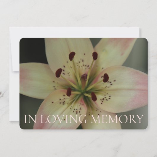 In Loving Memory Roze Lily uitnodiging (Voorkant)