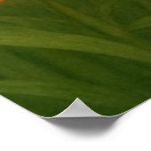 In Memoriam Karen Ann Baker-Taylor Poster (Hoek)