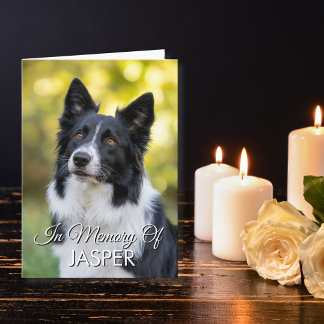 In Memory Of Pet Memorial Sympathy Custom Photo Kaart