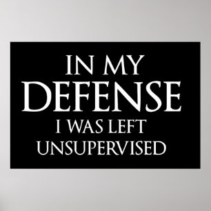 In mijn verdediging was ik ongecontroleerd grappig poster