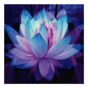 In perfecte liefde... perfect poster