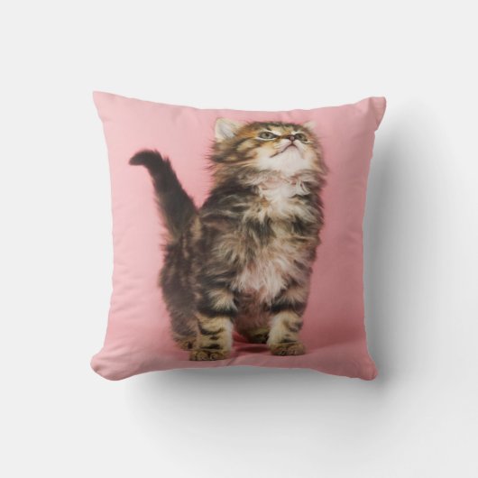 in Pink Kitten Kussen (Voorkant)