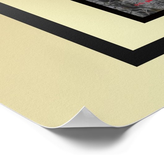 In plaats van ijskap en mist poster (Hoek)