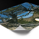 In Plant Poster (Hoek)