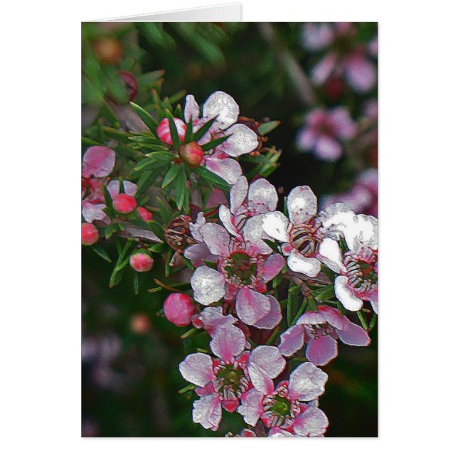  in roze (Voorkant)