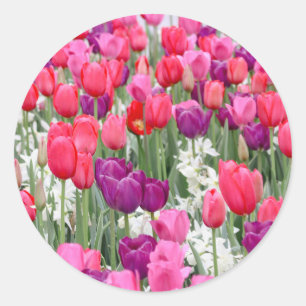 in roze bloemblaadjes ronde sticker
