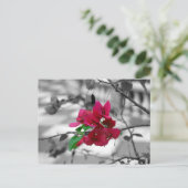 in roze briefkaart (Staand voorkant)