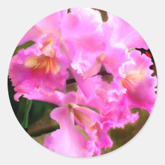  in Roze Cattleya Orchids Ronde Sticker