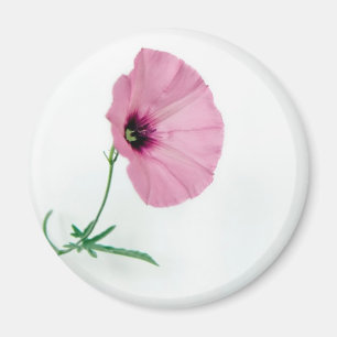  in roze magneet