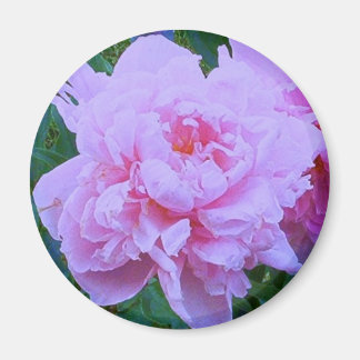 " in roze" magneet