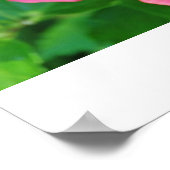  in roze poster (Hoek)