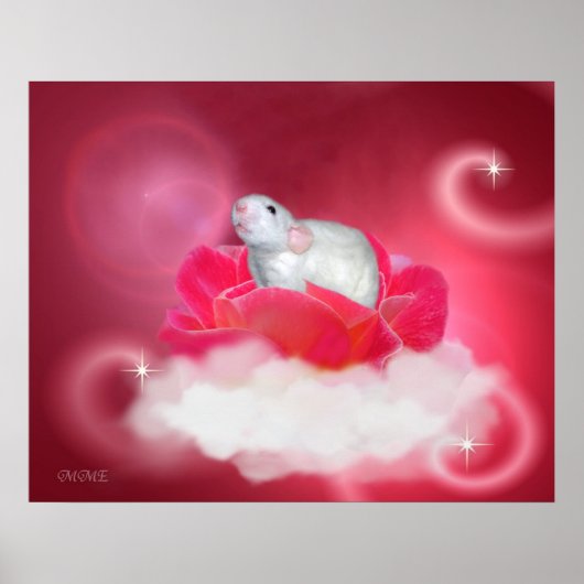  in roze poster (Voorkant)