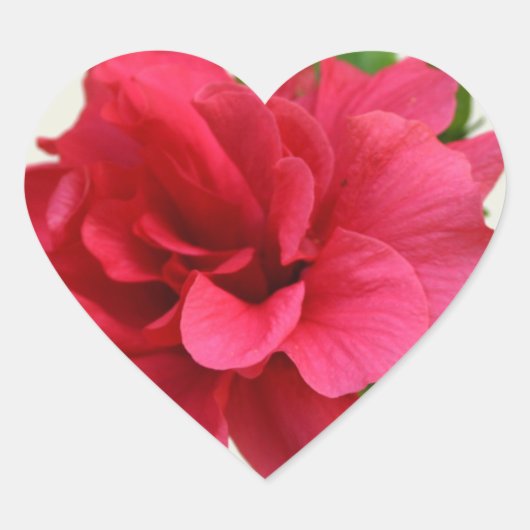 in roze - sticker (Voorkant)