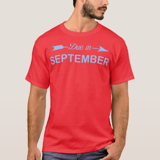 In september 2010 vervallen moeders Zwangerschap e T-shirt