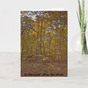 In stil na de kaart van de stormsympathie