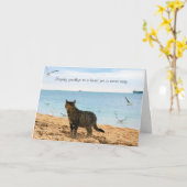 In Sympathy for Death of Cat Kaart (Gele Bloem)