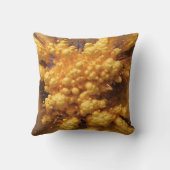 In The Beginning Kussen (Achterkant)