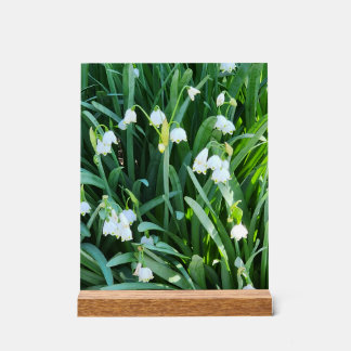 In the Garden... Acryl Bord