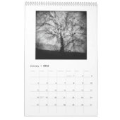 In the Minds of Trees, vol. 2, calendrier (Jan 2026)