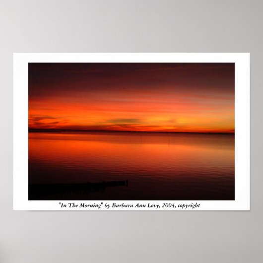 In The Morning by Barbara Levy, 2004, copyright Poster (Voorkant)