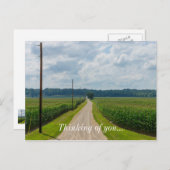 In tussen Corn-velden Briefkaart (Voorkant / Achterkant)