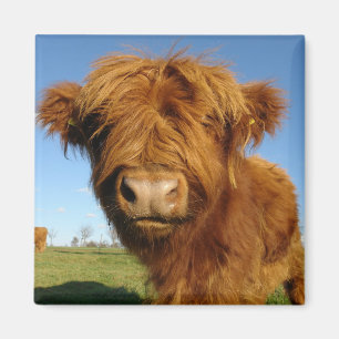 In uw gezicht is het Wauw Magnet Magneet