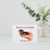 In uw handen (spay & Neuter) Visitekaartje (Staand voorkant)