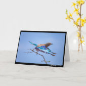 In vlucht kaart (Gele Bloem)