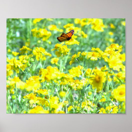 In vlucht poster (Voorkant)