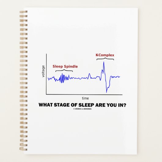 In welk stadium van de slaap ben je? planner (Voorkant)