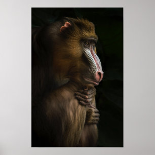 In Zijn Gedachten Poster