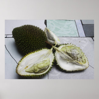 Inberoemde Durian Fruit Poster