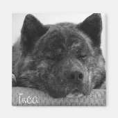 Inca Magneet (Voorkant)