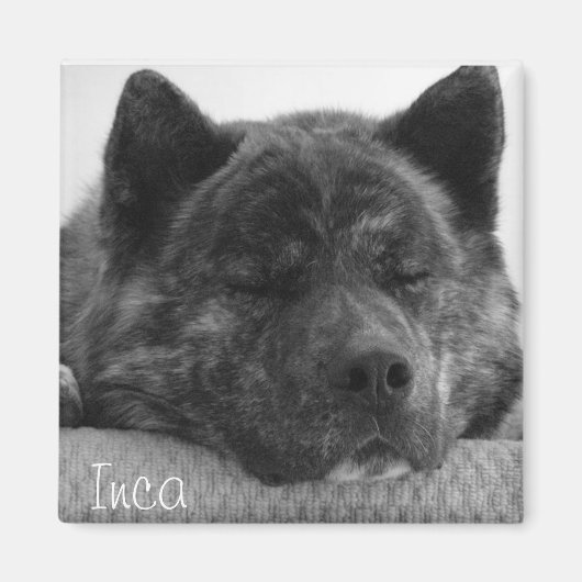 Inca Magneet (Voorkant)