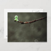 Inchworm Briefkaart (Voorkant / Achterkant)