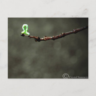 Inchworm Briefkaart