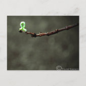 Inchworm Briefkaart (Voorkant)