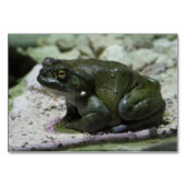 Incilius alvarius kaart (Voorkant)