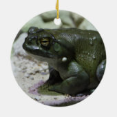 Incilius alvarius keramisch ornament (Achterkant)