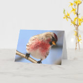 Inclinaison de la carte de voeux de Redpoll (Fleur jaune)