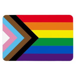 Inclusieve vlag voor homodiversiteit van regenboog magneet
