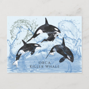 Incredible Black and White Watercolor Orcas Briefkaart