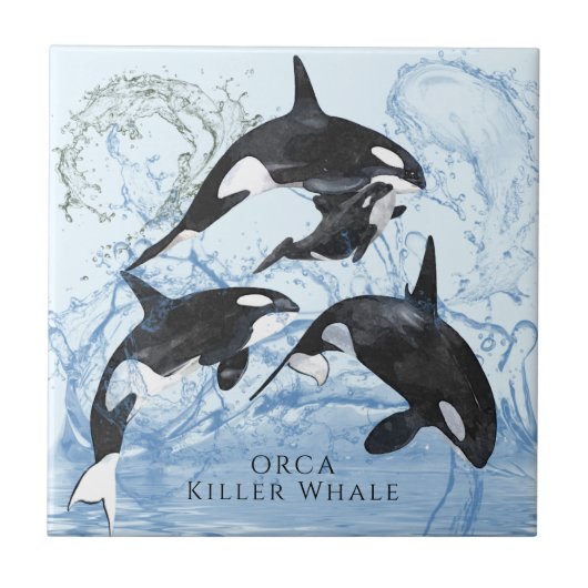 Incredible Black and White Watercolor Orcas Tegeltje (Voorkant)