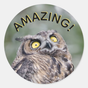 Incroyable ! Autocollants de hibou impressionné