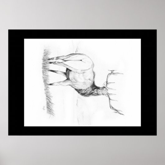 Indécision ~ Poster du wapiti (Devant)